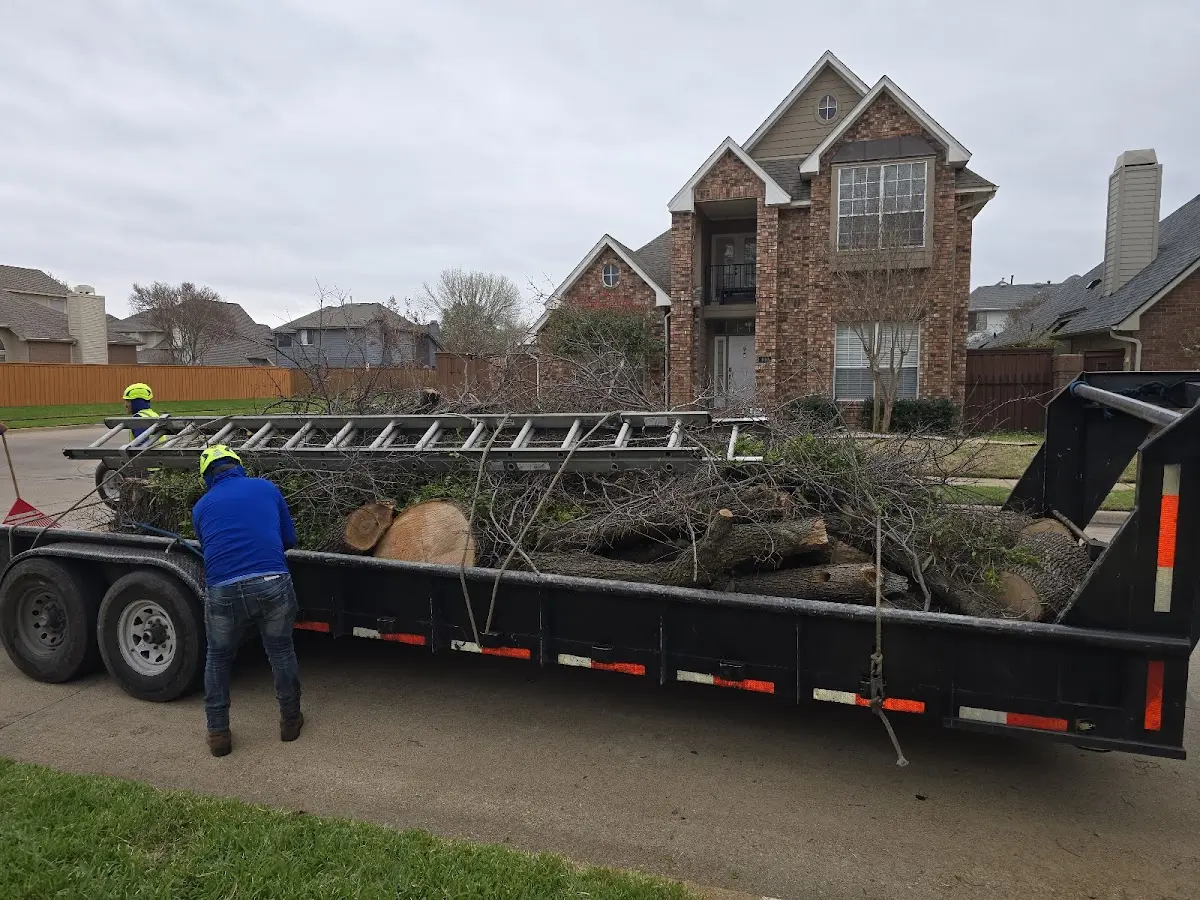 Expert Lot Clearing with proper safety equipment in Vickery